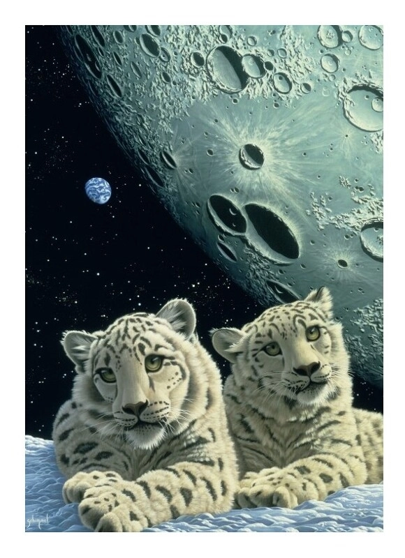 Schim Schimmel - Lair of the Snow Leopard