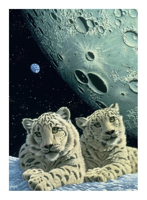 Schim Schimmel - Lair of the Snow Leopard