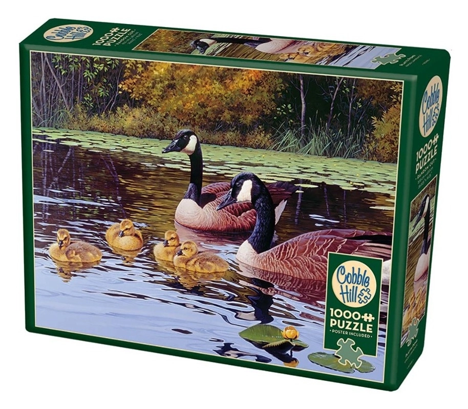 Entenfamilie auf dem Teich