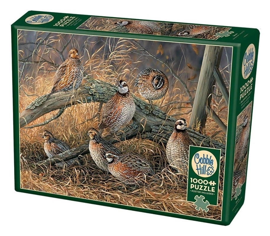 Quail