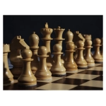 Schachfiguren - Official World Chess