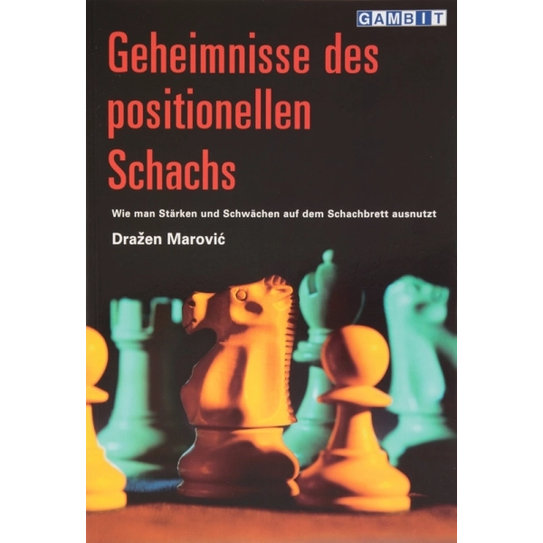 Geheimnisse des positionellen Schachs