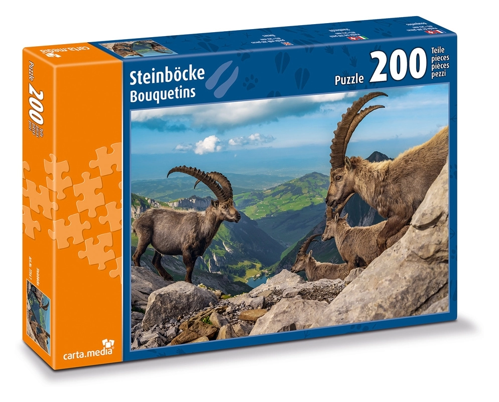 Steinböcke