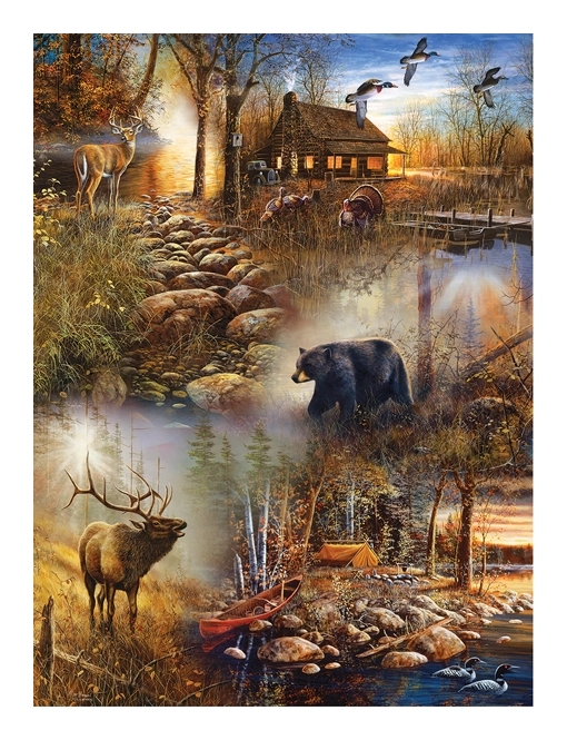 Forest Collage - Jim Hansel
