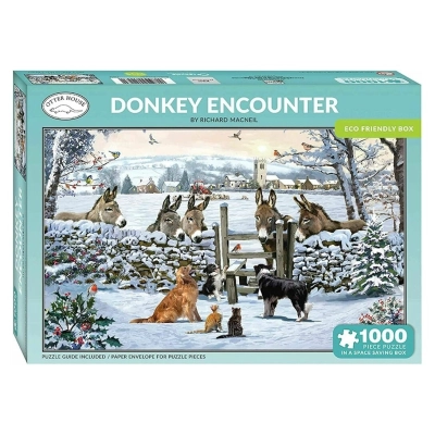 Donkey Encounter
