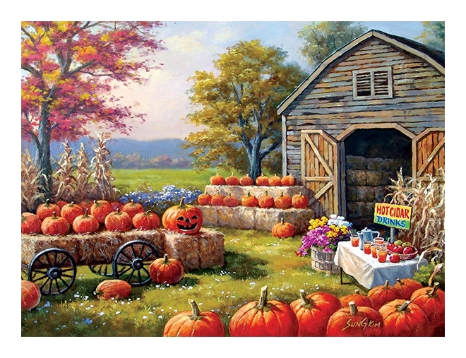 Pumpkins for Sale - Sung Kim