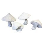 Ziterdes - Giant Mushrooms, 4 pcs.