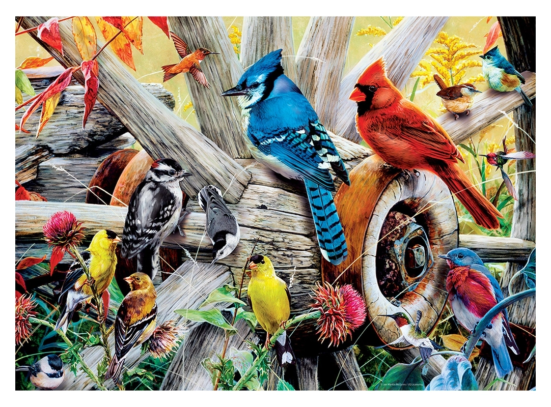 Backyard Birds - Audubon