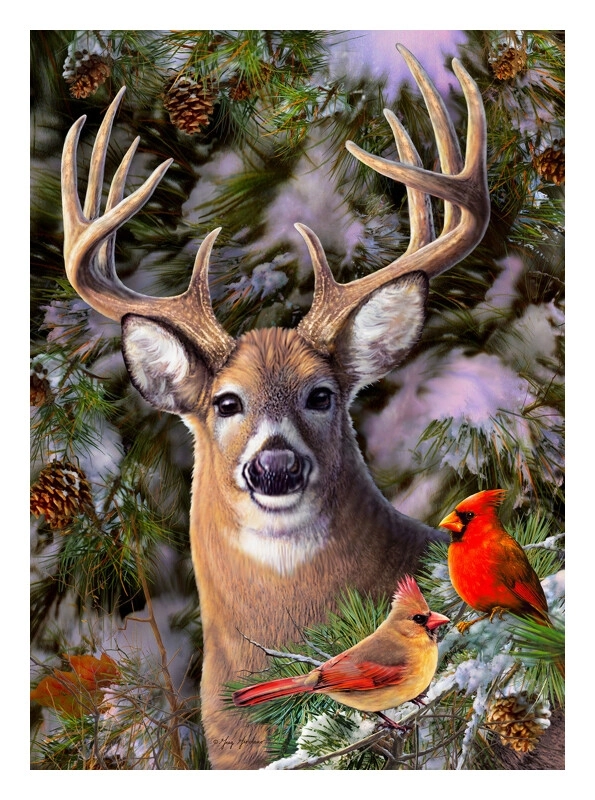 One Deer Two Cardinals