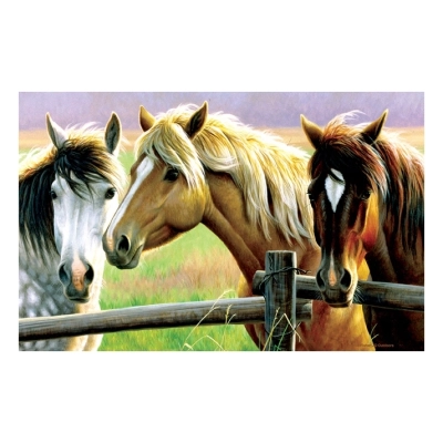 Cynthie Fisher - Horse Fence