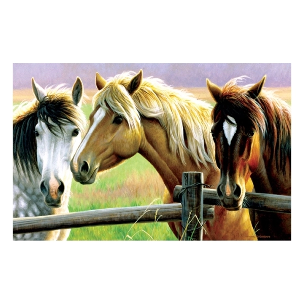 Cynthie Fisher - Horse Fence