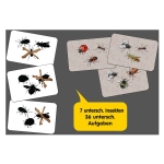 Adlung Spiele Quirrly - Gioco Di Carte Veloce, Cerca I Numeri 1-13 (Gioco In Tedesco, Confezione Piccola)