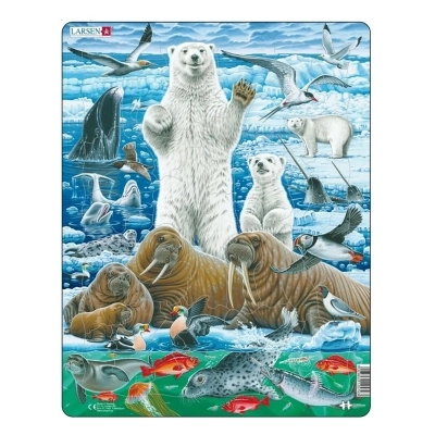 Nordpol mit Eisbär und Walross