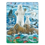 Nordpol mit Eisbär und Walross