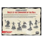 D&D The Legend of Drizzt - Companions of the Hall