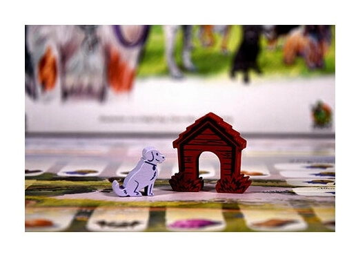 Dog Park - Ein Hund ist nie genug!