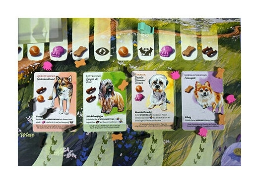 Dog Park - Ein Hund ist nie genug!