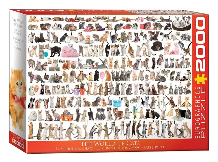 Welt der Katzen