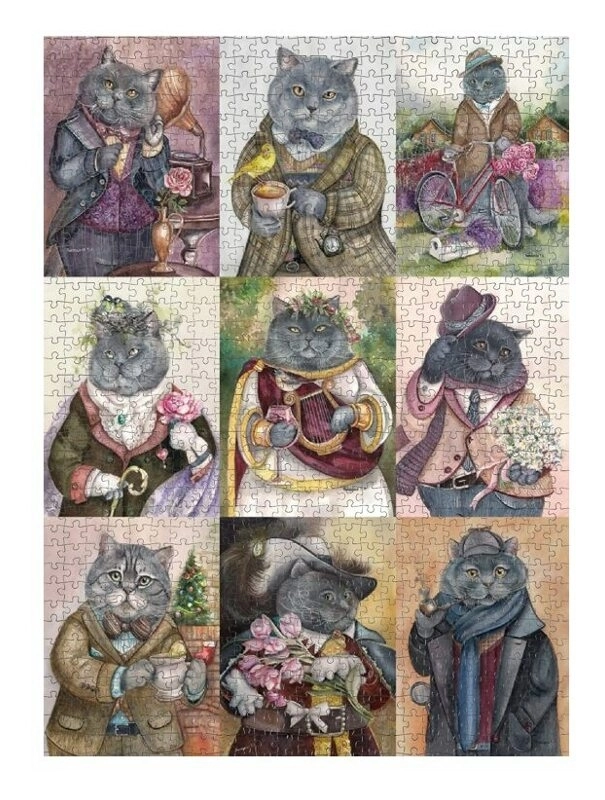 Britische Katzen Collage