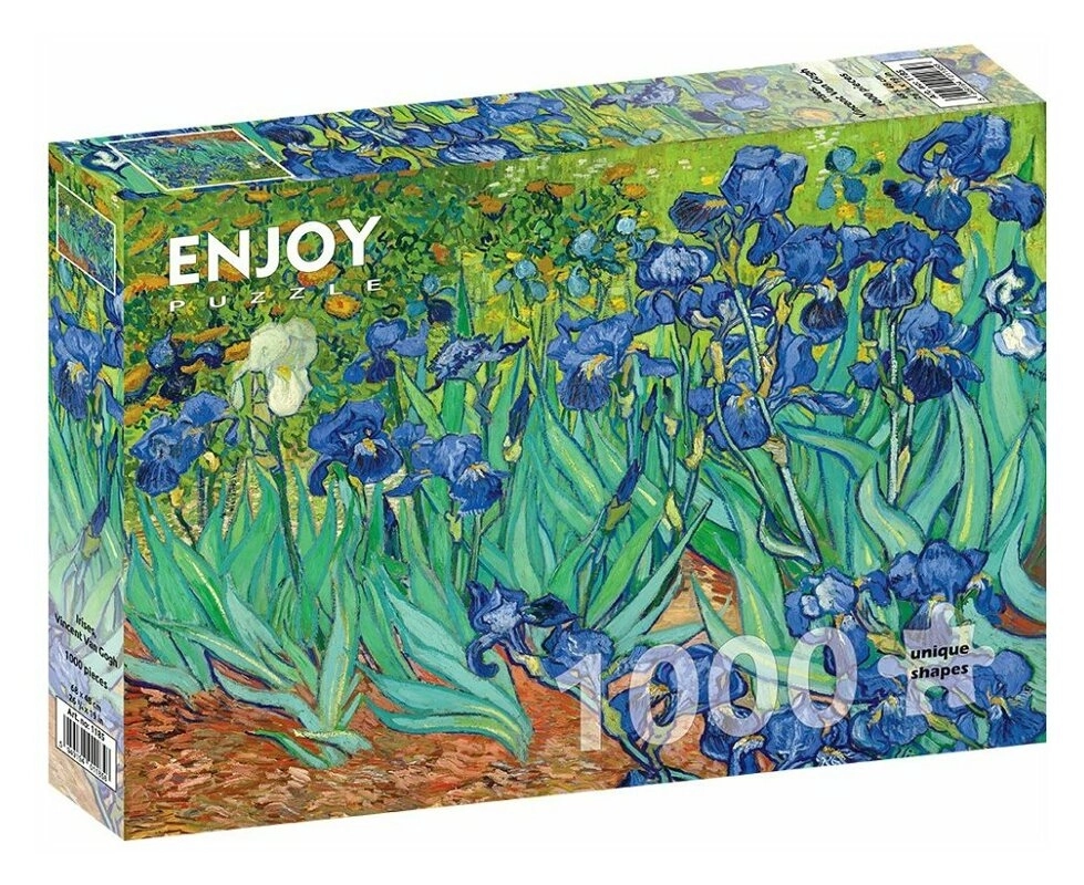 Vincent Van Gogh: Schwertlilien
