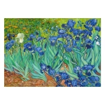 Vincent Van Gogh: Schwertlilien