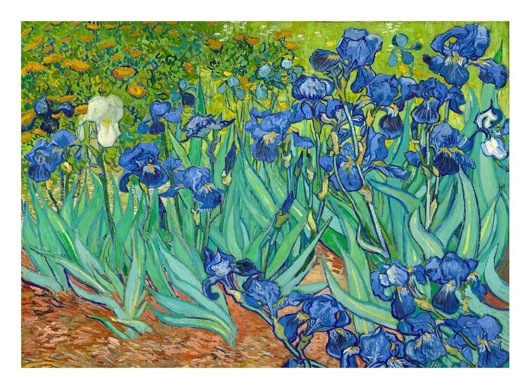 Vincent Van Gogh: Schwertlilien