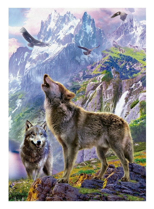 Wölfe in den Bergen - Patrik Krasny