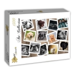 Hunde