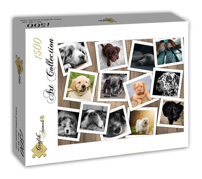 Hunde