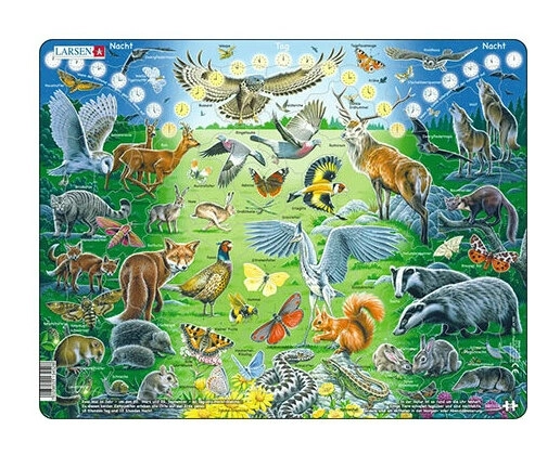 Tiere bei Tag und Nacht
