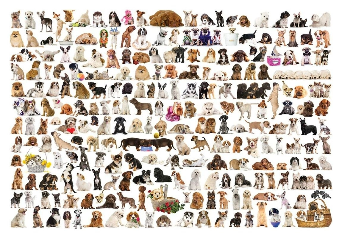 Hundewelt