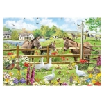 Meadow View - Richard MacNeil