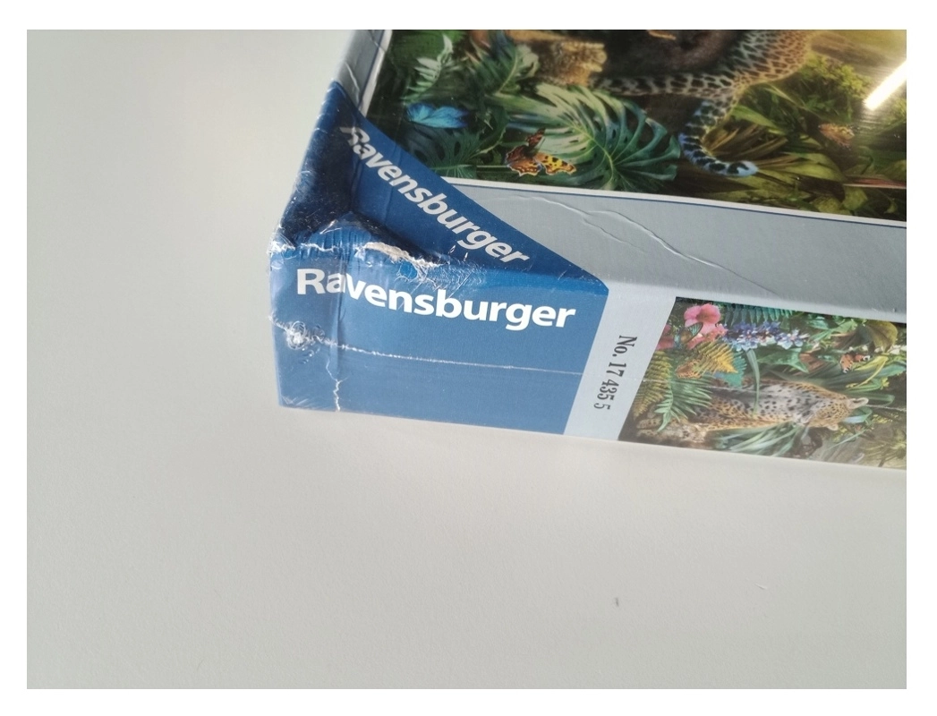 Leopardenfamilie im Dschungel (Leopardenfamilie im Dschungel (Defekte Verpackung))