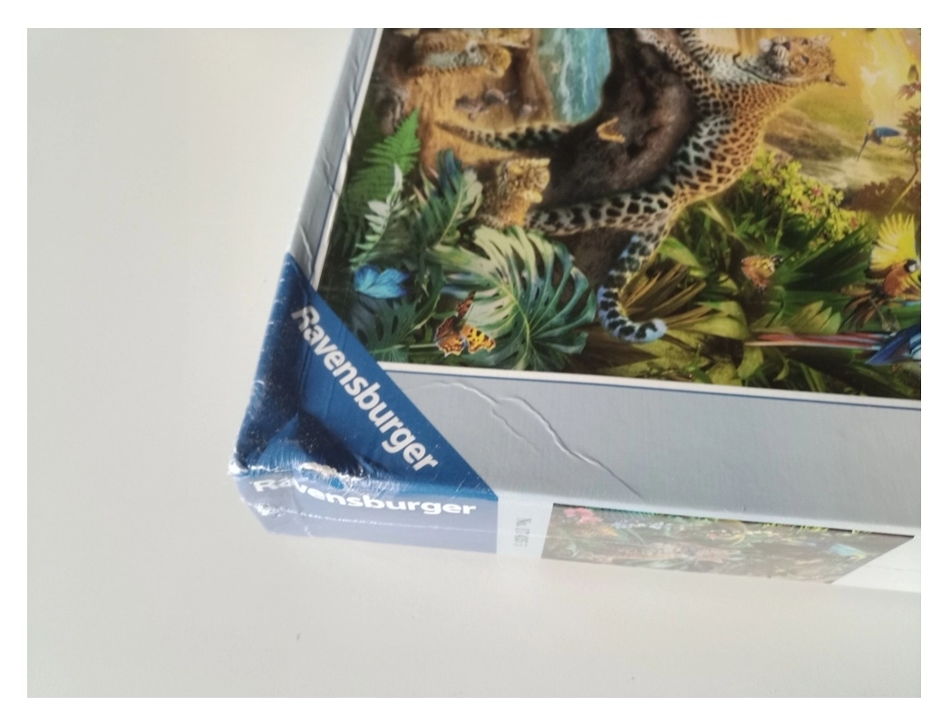 Leopardenfamilie im Dschungel (Leopardenfamilie im Dschungel (Defekte Verpackung))