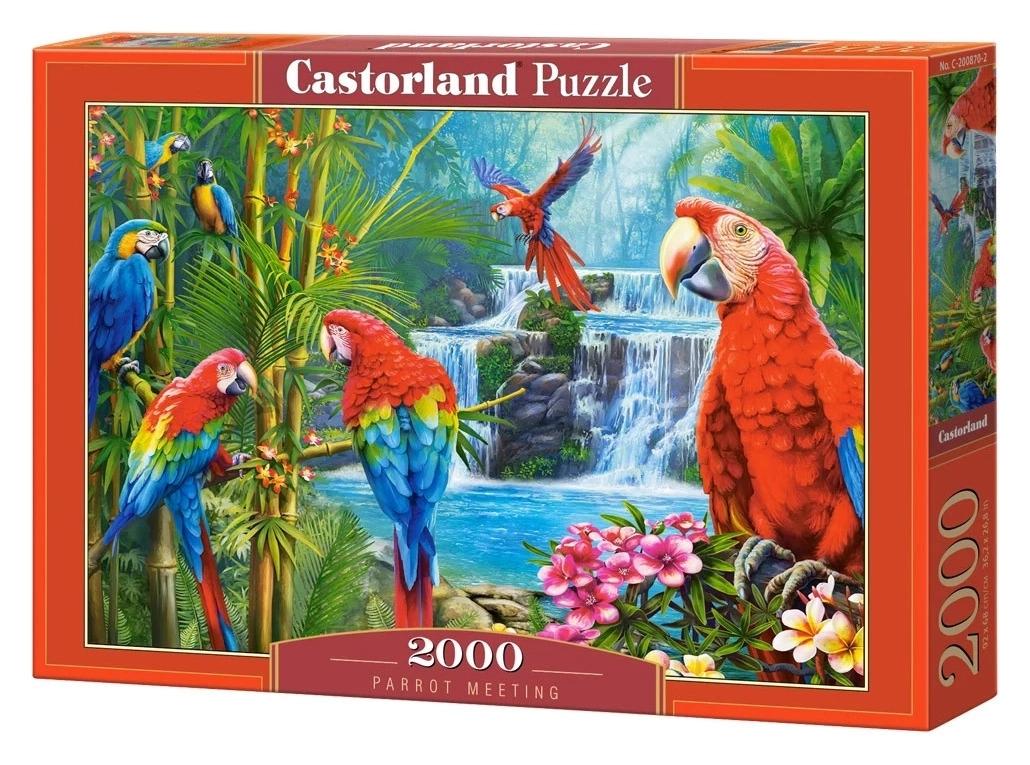 Parrot Meeting