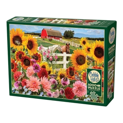 Sunflower Farm - Jo-Ann Richards