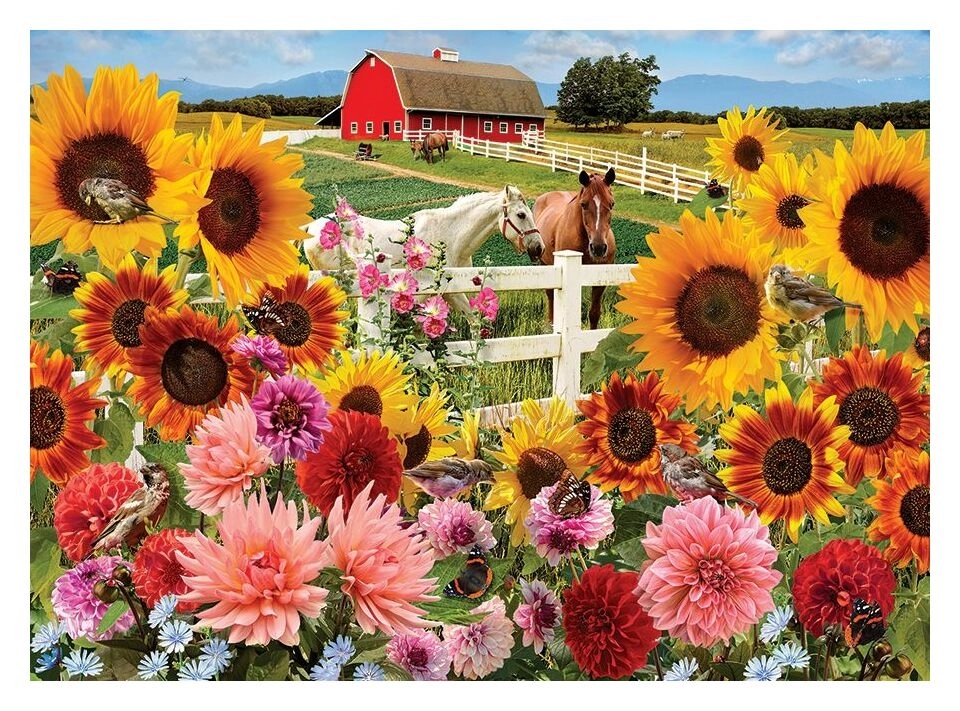 Sunflower Farm - Jo-Ann Richards