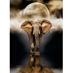 The Elefant The Elefant