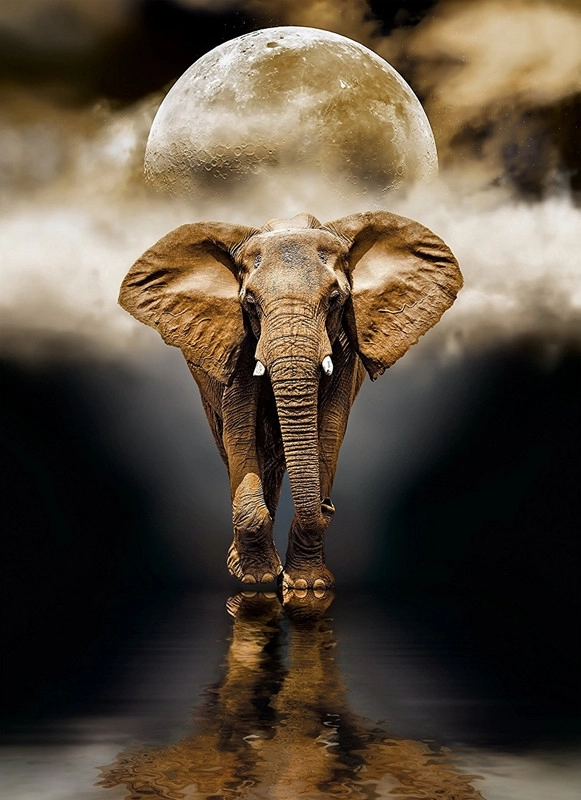 The Elefant