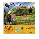 Eagle Valley - Lori Schory