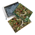 Succulent Garden Succulent Garden
