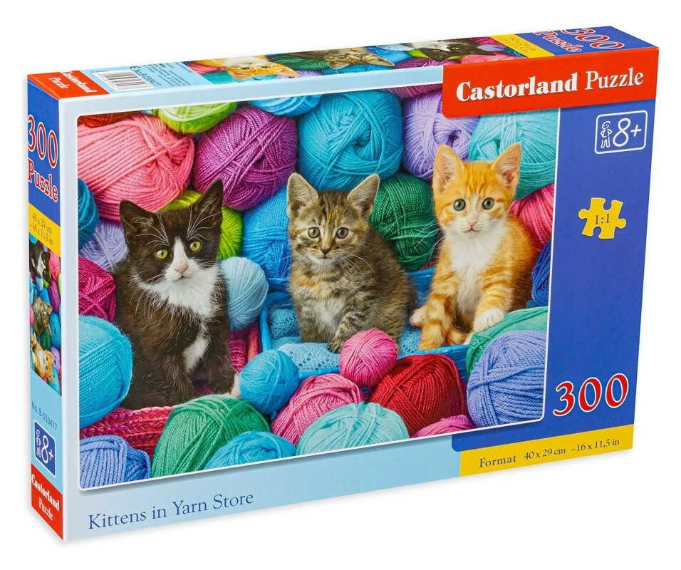 Kittens in Yarn Store