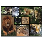 Schneeleoparden - Wilde Geschichten - WWF