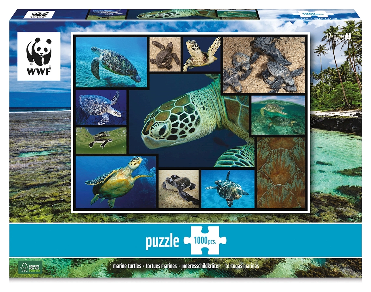 WWF präsentiert: Meeresschildkröten