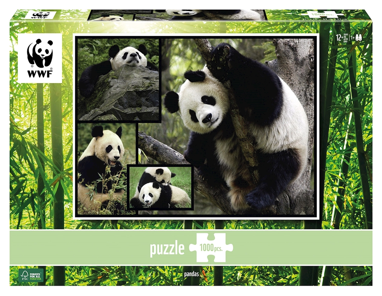 Pandas - Wilde Geschichten - WWF