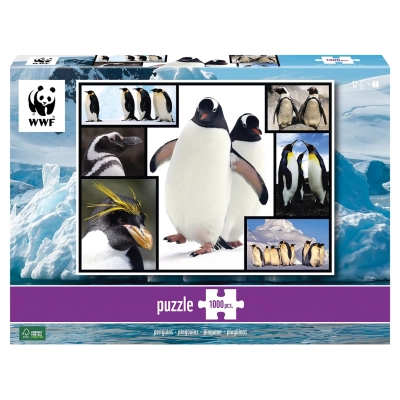 Pinguine - Wilde Geschichten - WWF