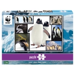 Pinguine - Wilde Geschichten - WWF