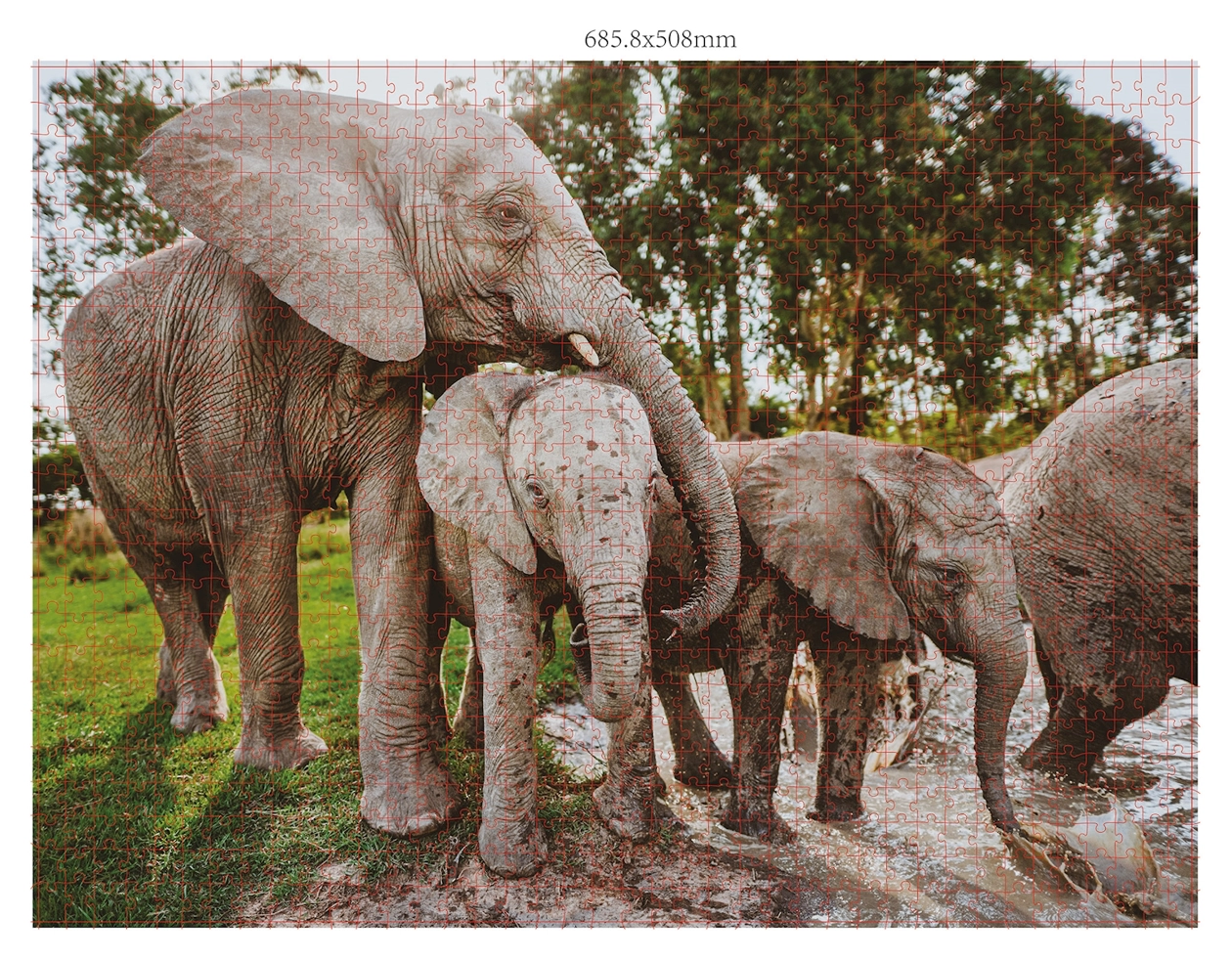 Wildtier-Familien -  3x 1000 Teile
