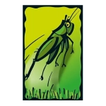 Schummel Hummel 