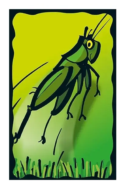 Schummel Hummel 
